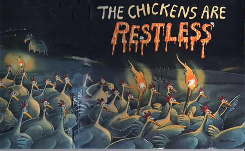 chickens_are_restless